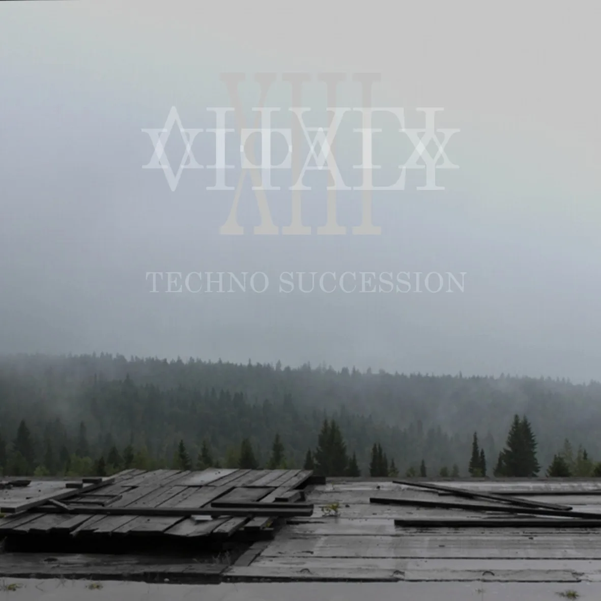 Vitaly XIII - Techno Succession