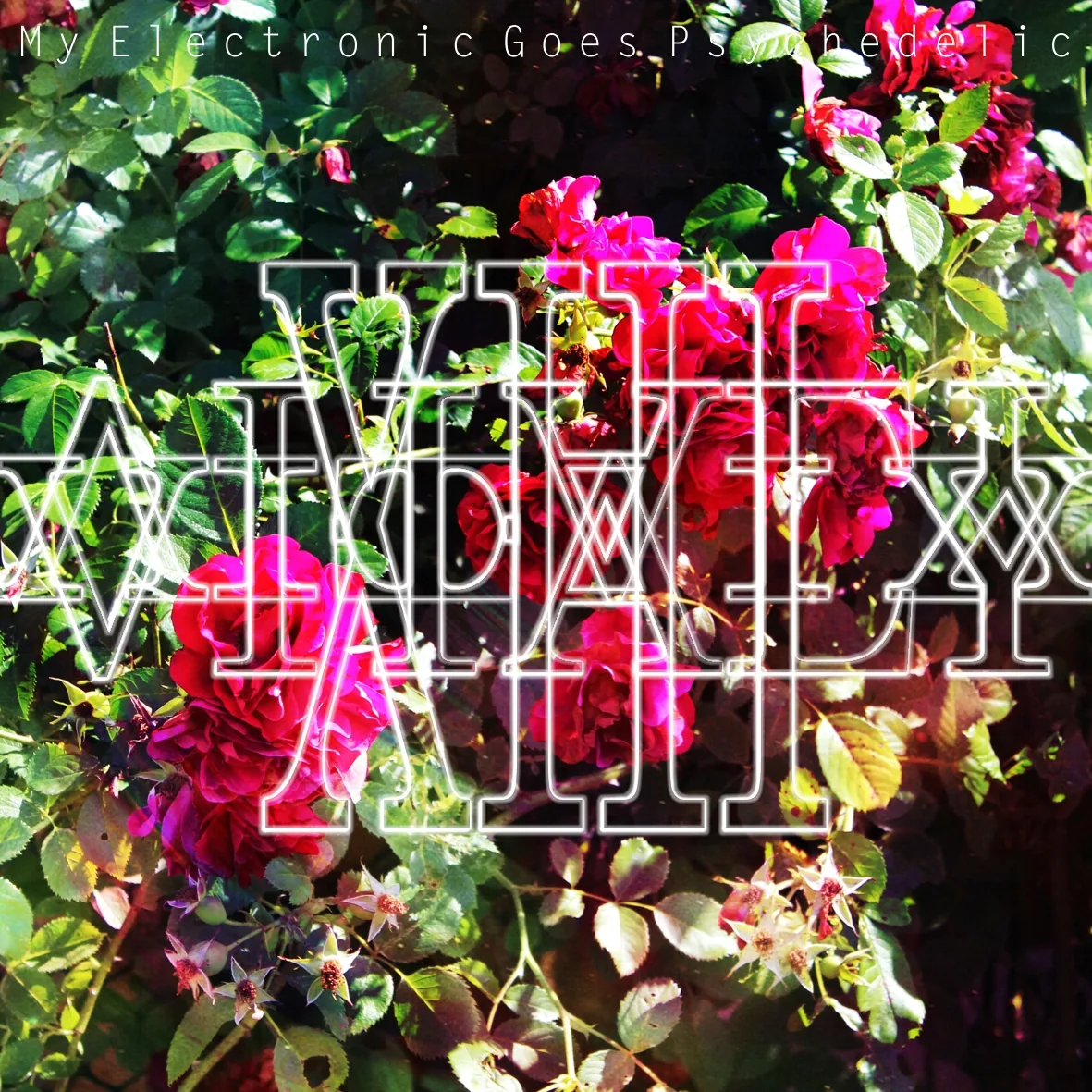 Vitaly XIII – My Electonic Goes Psychedelic