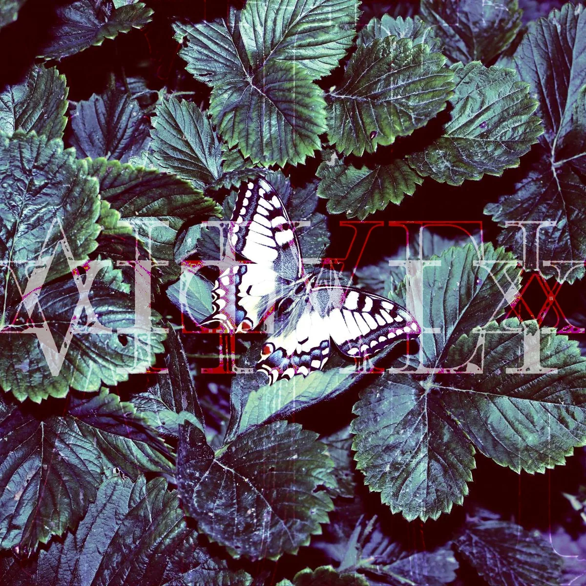 Vitaly XIII – Spiritual House